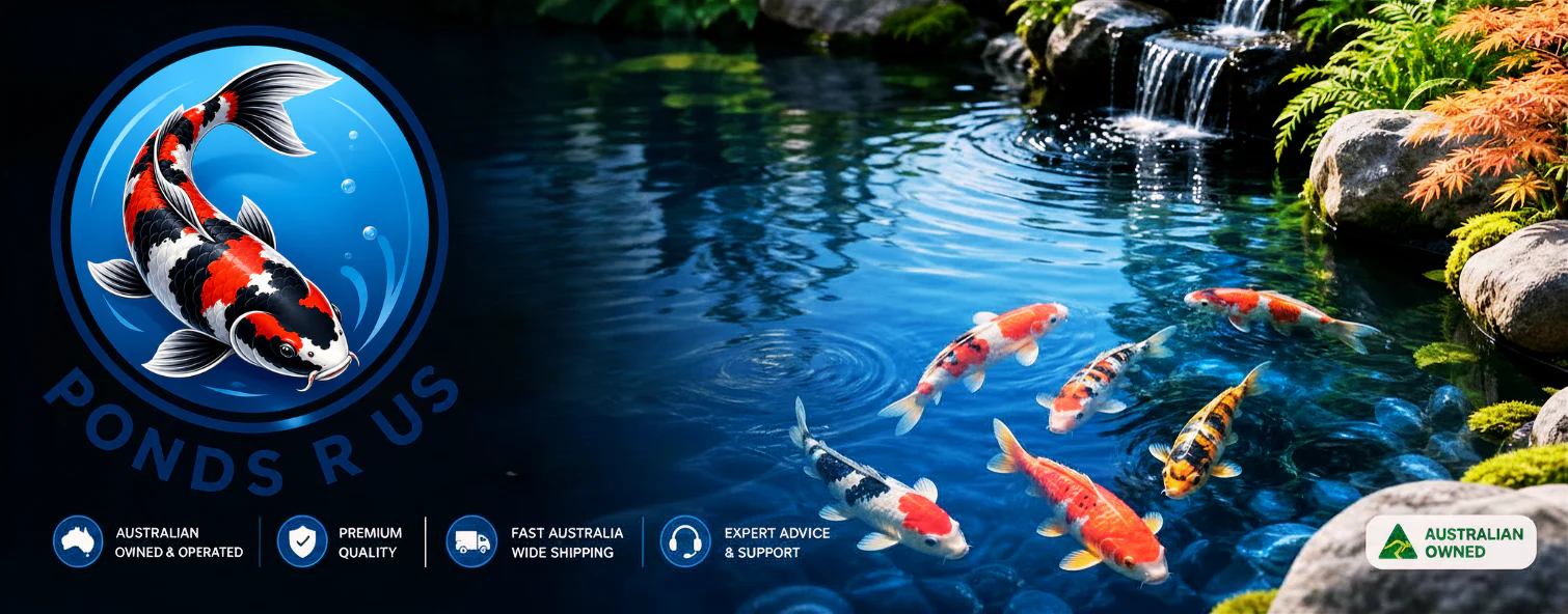 Crystal Clear Australian Pond Solutions