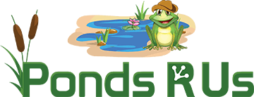 Ponds
